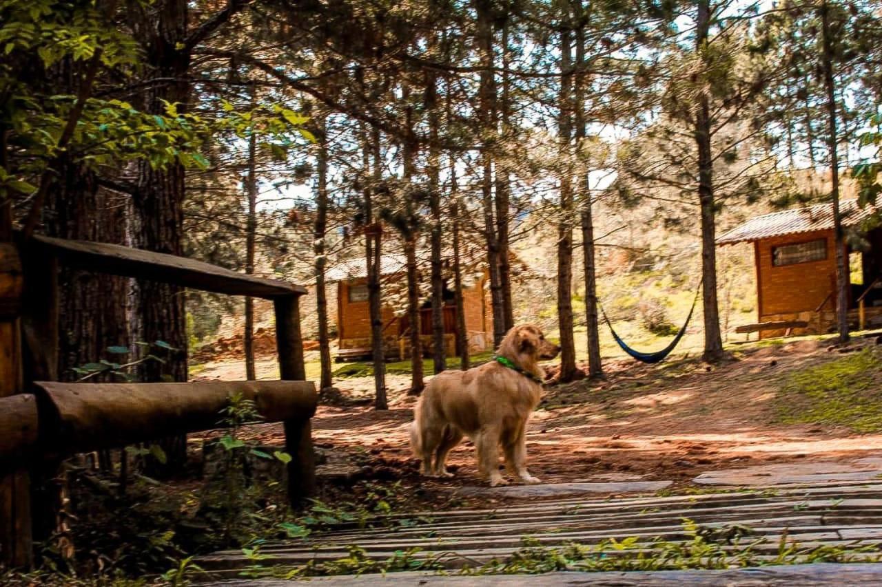 Chales Sitio Do Tanque Conceição da Ibitipoca Bagian luar foto